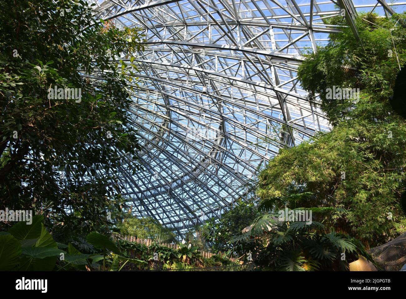 Zoom in the vault from the Zoo Parc de Beauval, France Stock Photo