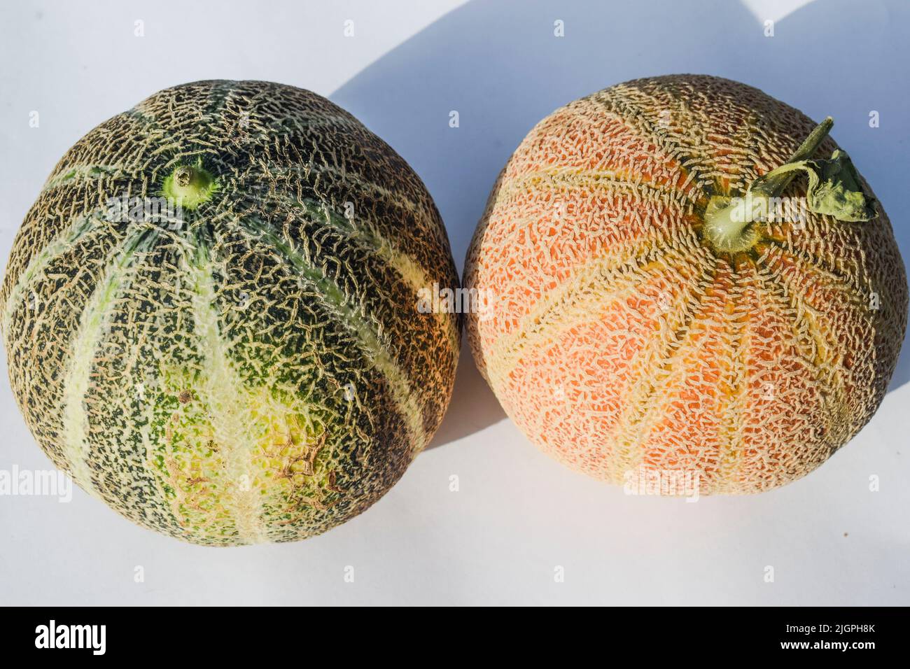 Side view of green and yellow color striped Musk melon or Cantaloupe also known as Kharbuja fruit. Indian fruit Muskmelon with gride lines on outdoor Stock Photo