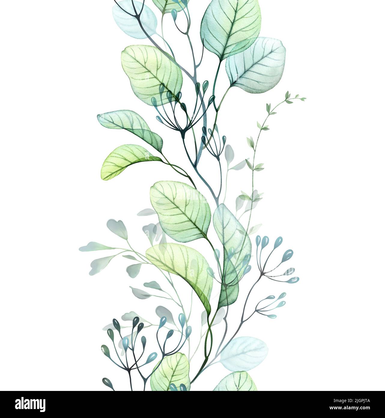 Watercolor leaves seamless border. Eucalyptus branches composition on ...