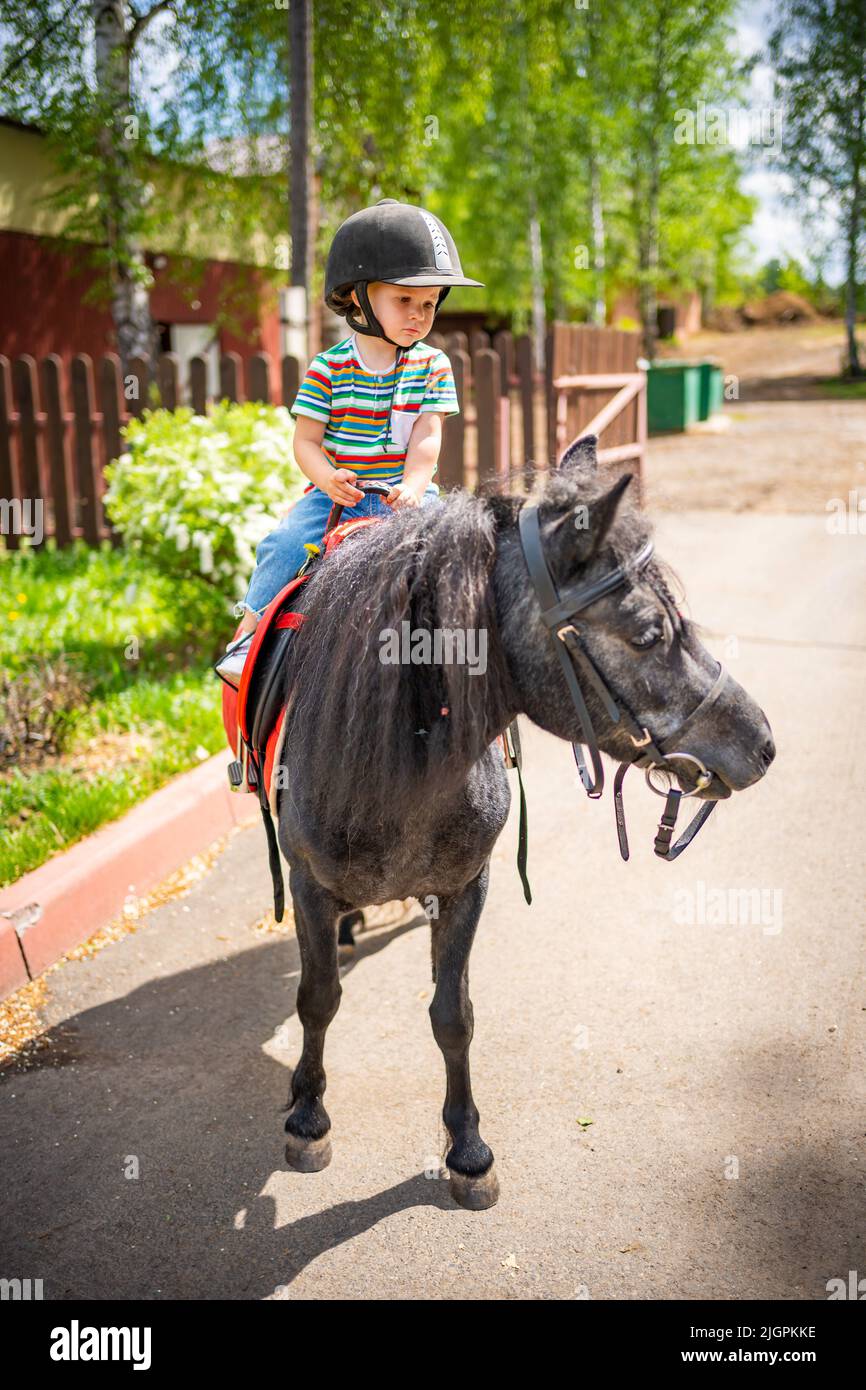 Beautiful little girl two years old riding pony horse in big safety ...