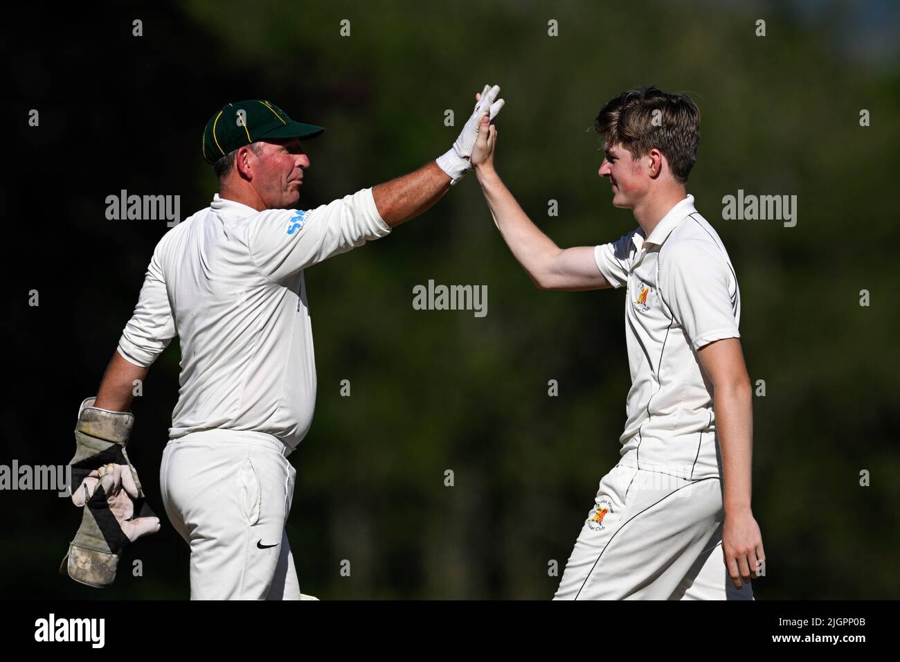 Cricket players celebrating taking a wicket. Stock Photo