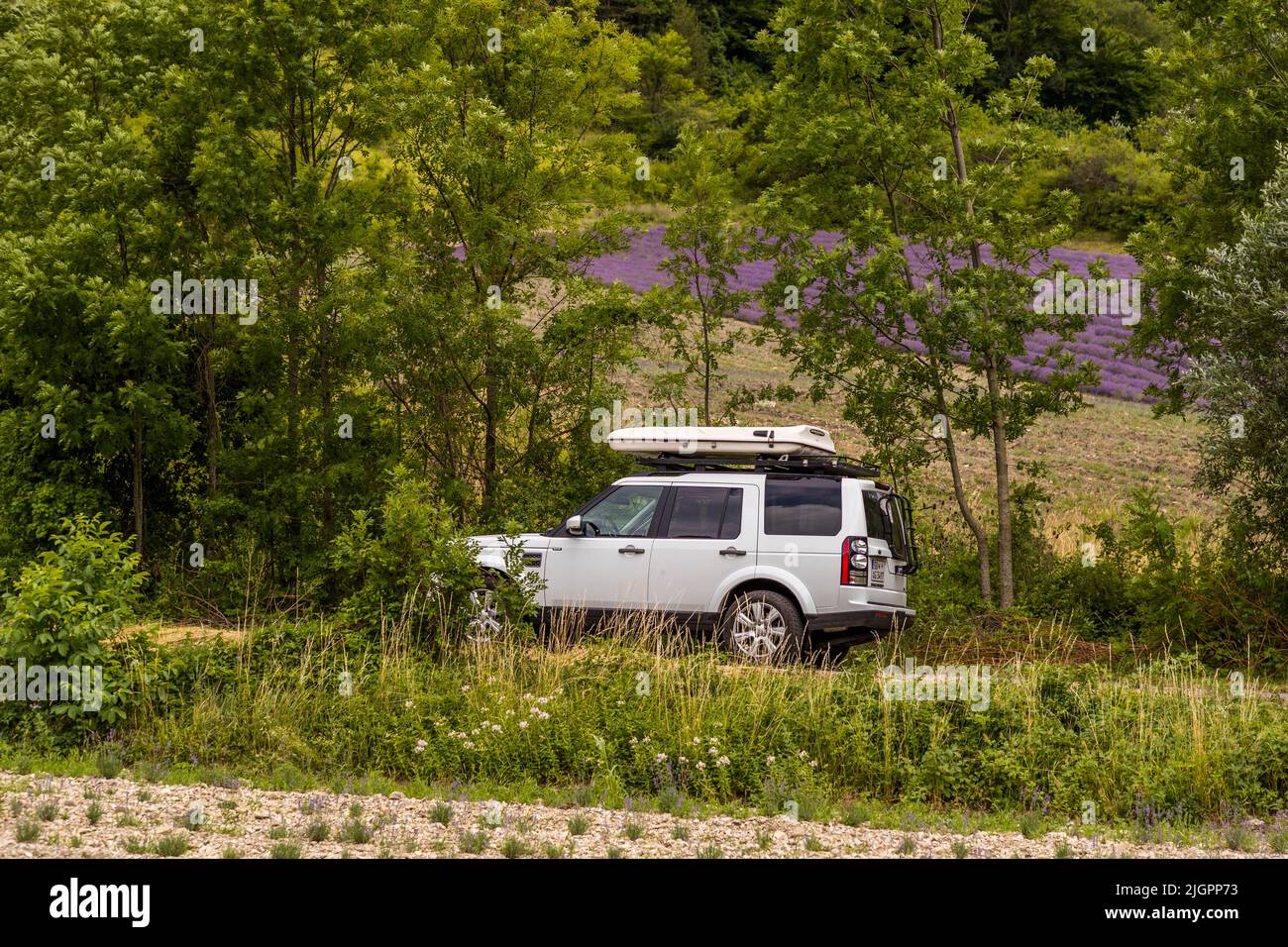 Car in front of lavender field. The purple of the lavender blossoms sets the tone in June and July in the Drome Valley. This is where the Alps meet Provence. On a route of the lavender you can pass many valleys and villages with blooming lavender fields in these months. Stock Photo