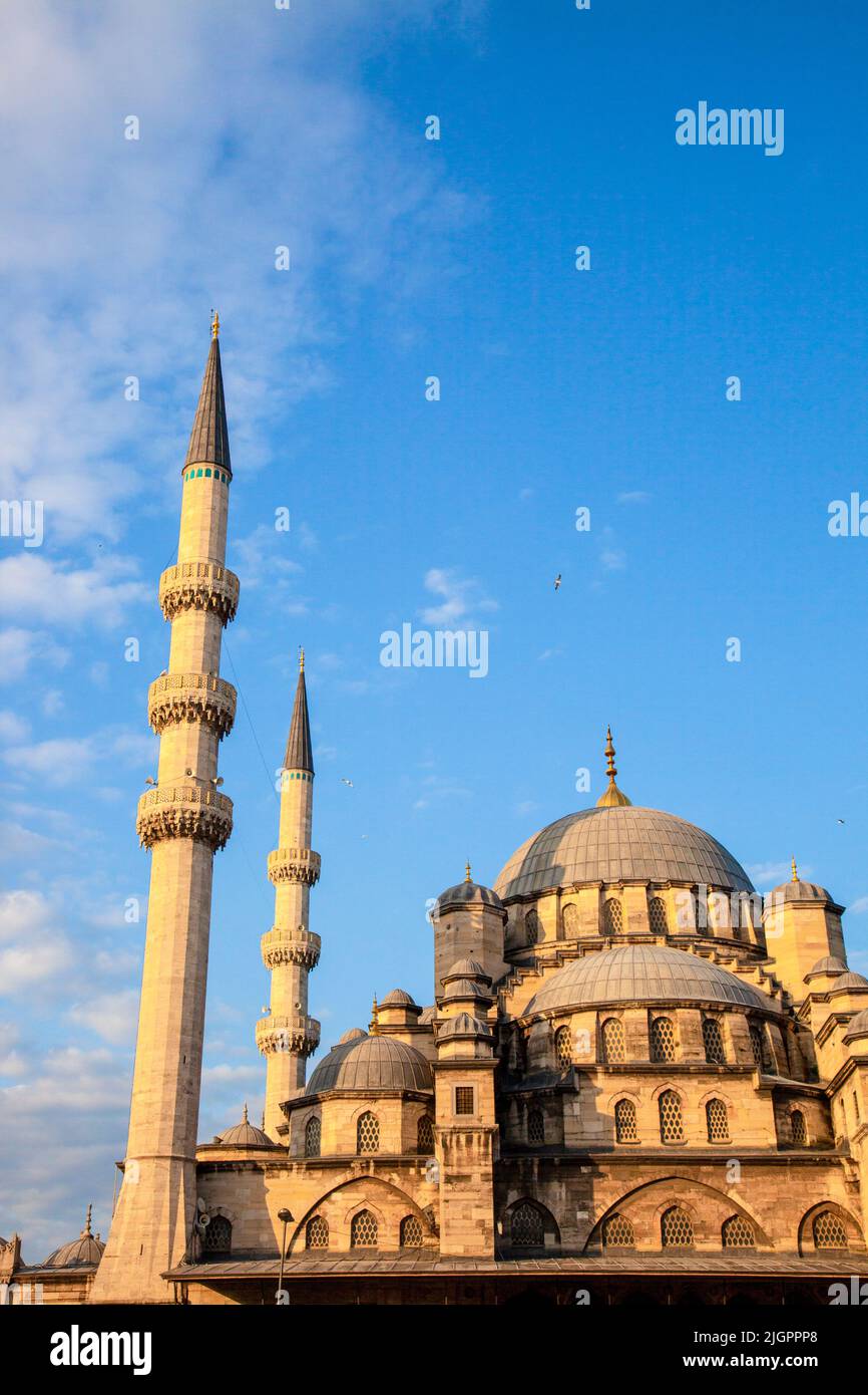 cami summer shorts set nike