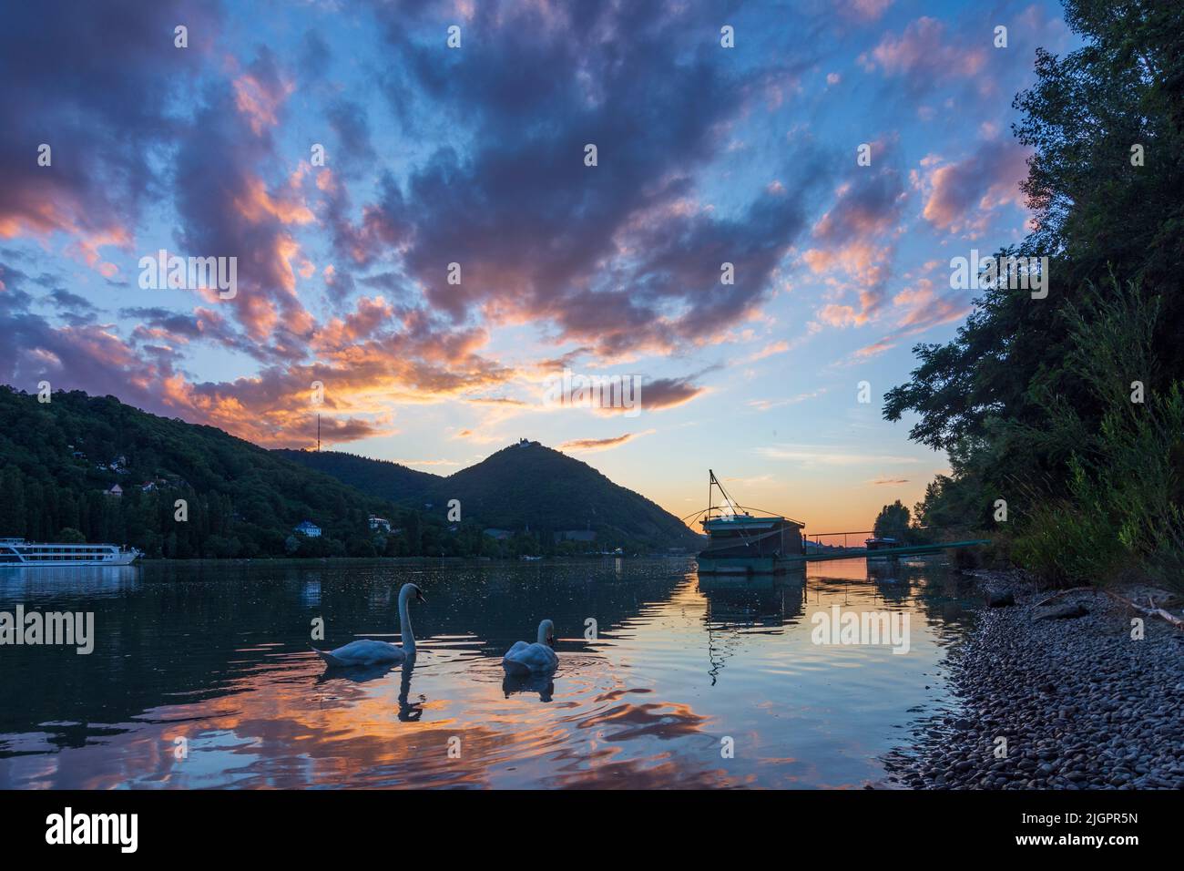 Wien, Vienna: sunset at river Donau (Danube), view to mountain Kahlenberg (left) and Leopoldsberg (with church), Daubel boat with lifting fishing net, Stock Photo