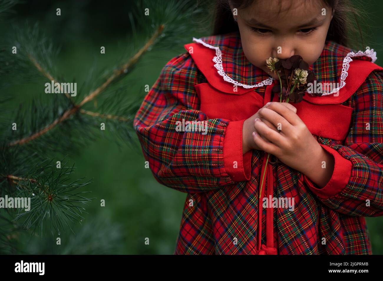 Little girl in red retro dress sniffing flowers Stock Photo - Alamy