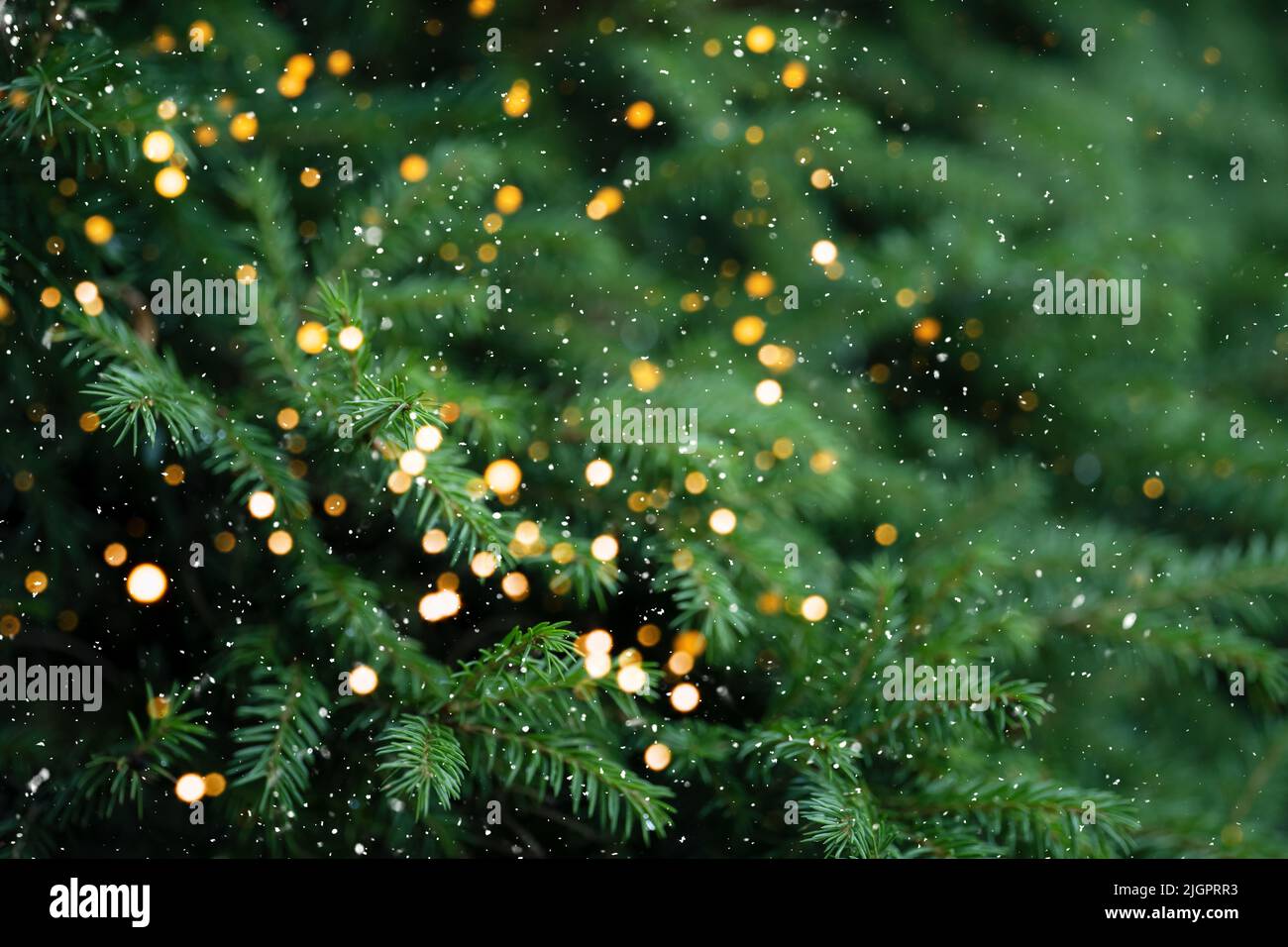 Christmas tree branches with a garland against falling snow Stock Photo