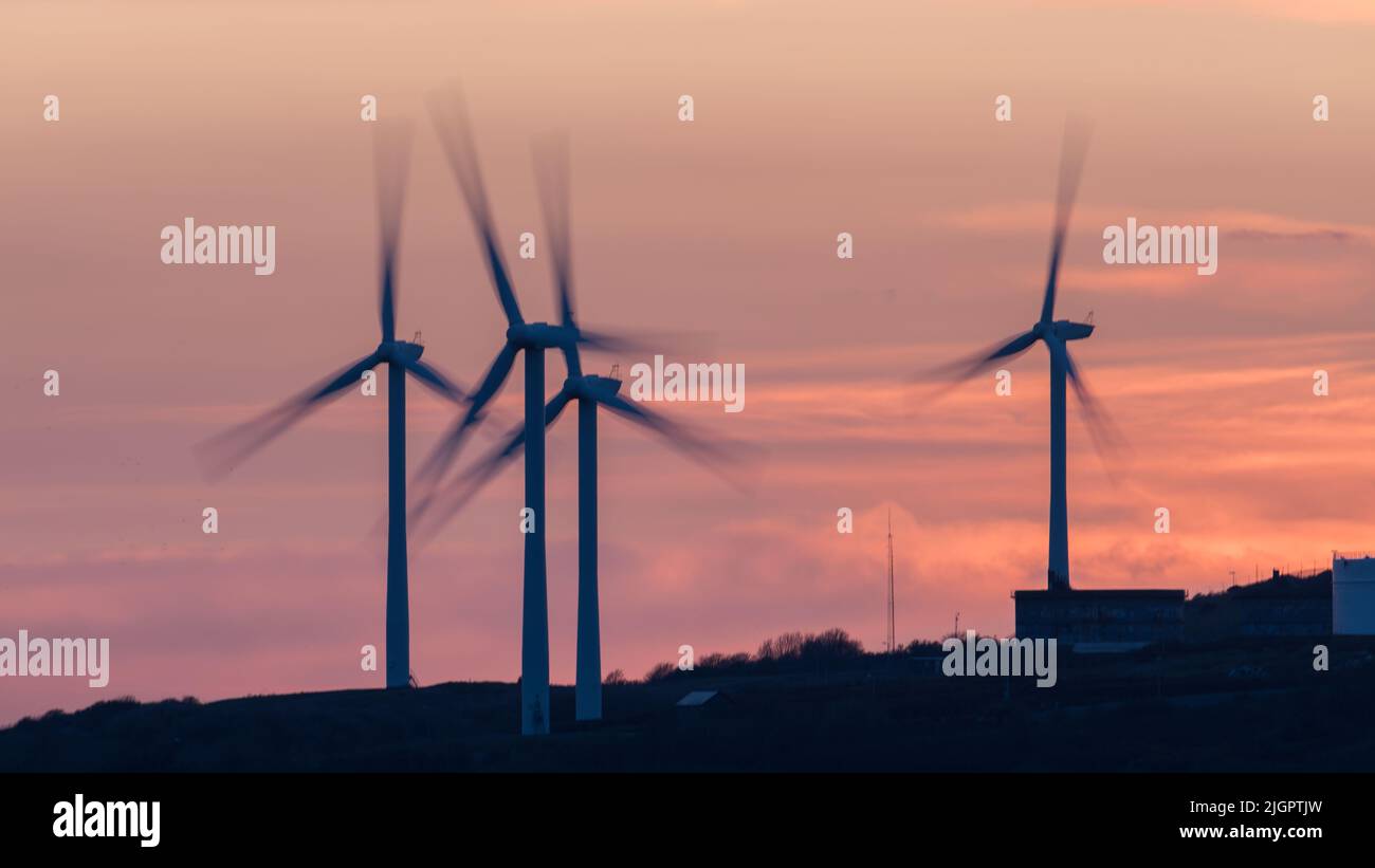 Wind turbines at sunset, Milford Haven; Pembrokeshire, Wales, UK Stock Photo
