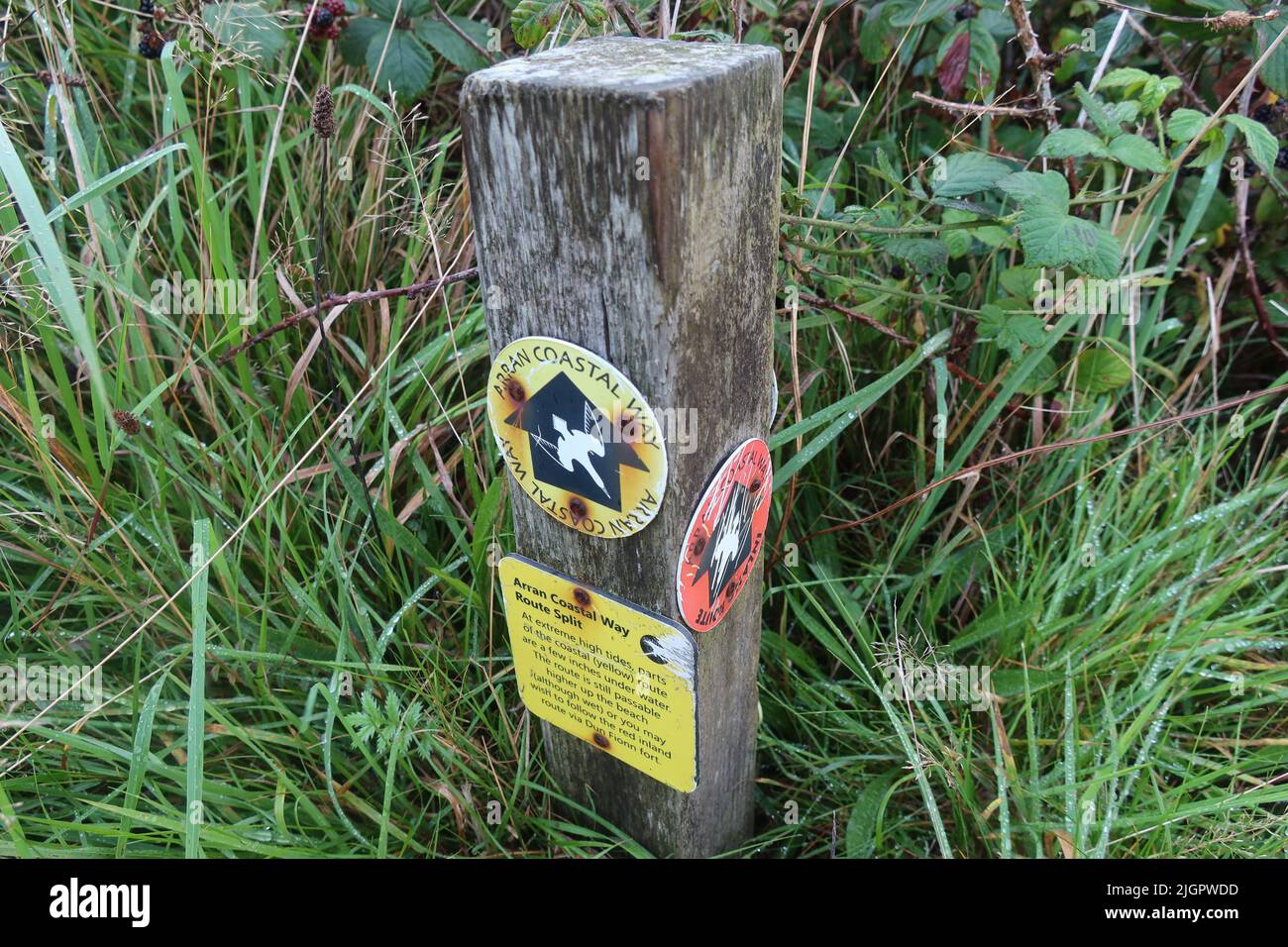 Arran Coastal Way sign. Isle of Arran. North Ayrshire. Scotland. UK ...