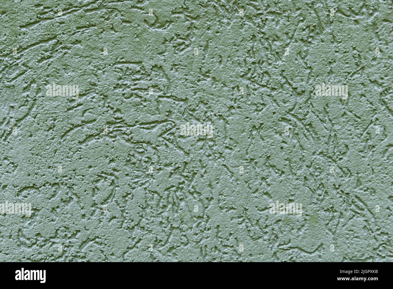 Beautiful light green texture of concrete wall of the house. Abstract