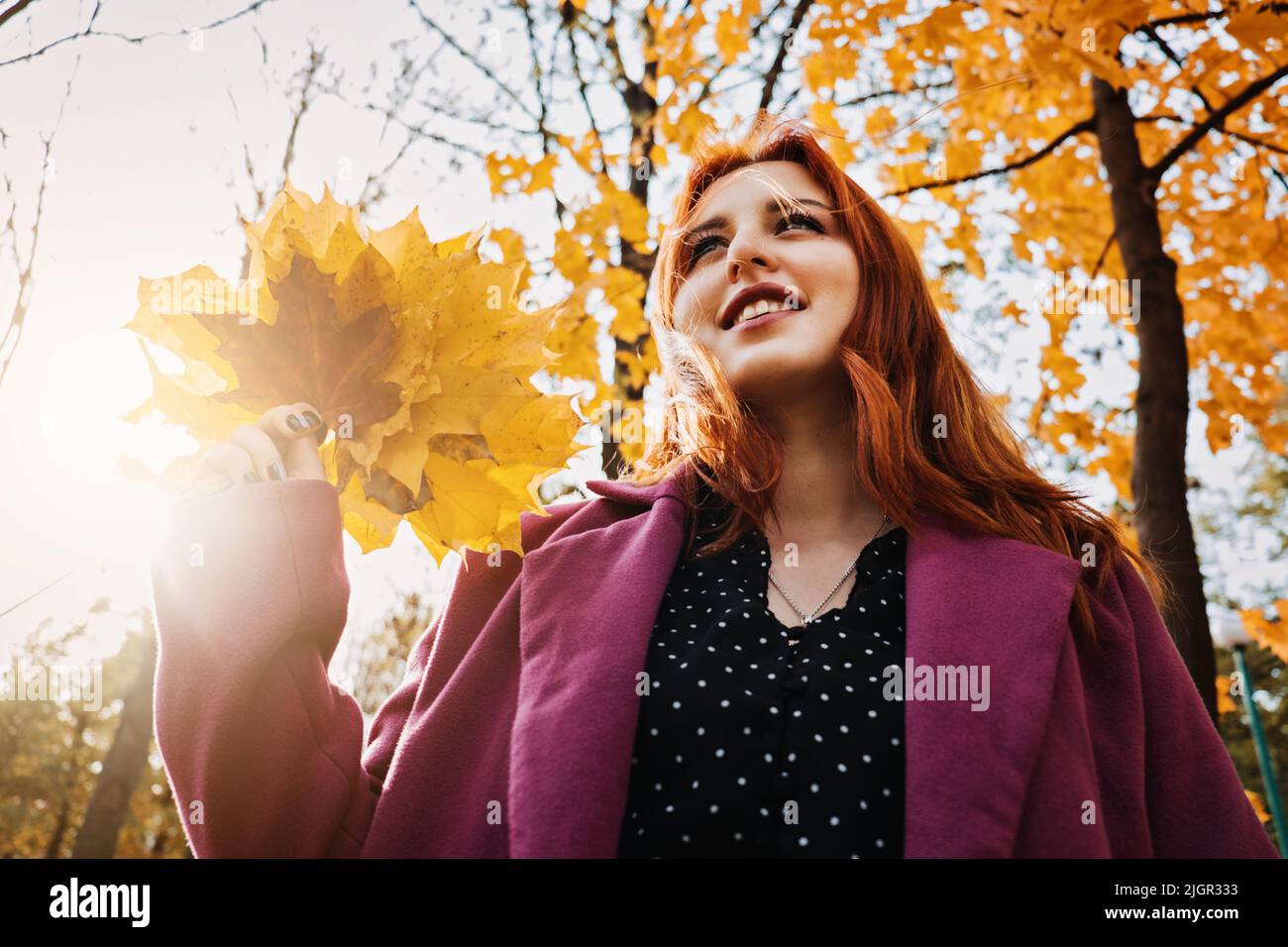 Autumn portrait of candid beautiful red-haired girl with fall leaves in ...