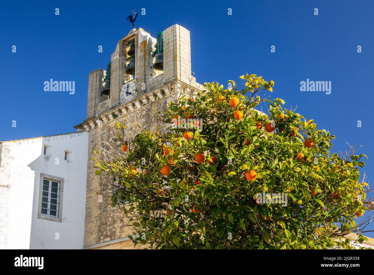Orange Tree At The Cathedral of Saint Mary (Sé de Faro), Bell Clock Tower Cathedral Of Faro Is A National Monument of Portugal, Faro Cathedral Stock Photo