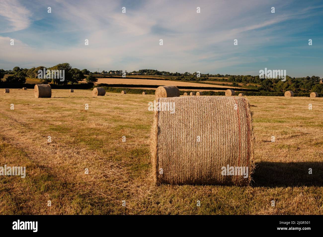 Rural English scene of large baled hay in summer field Stock Photo