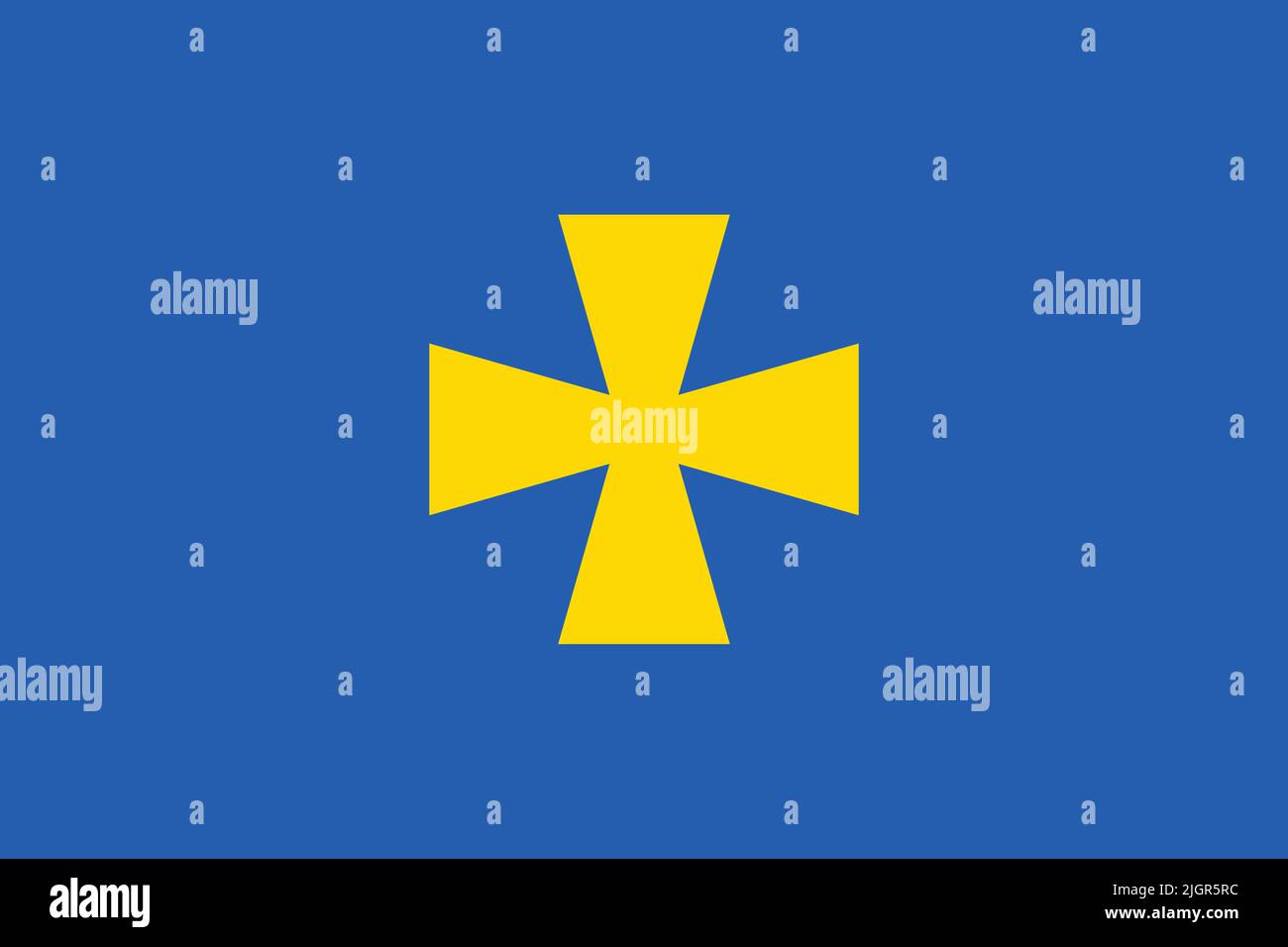 Kharkiv Bandiera ucraina Eroe della ctà T-shirt 100% cotone O