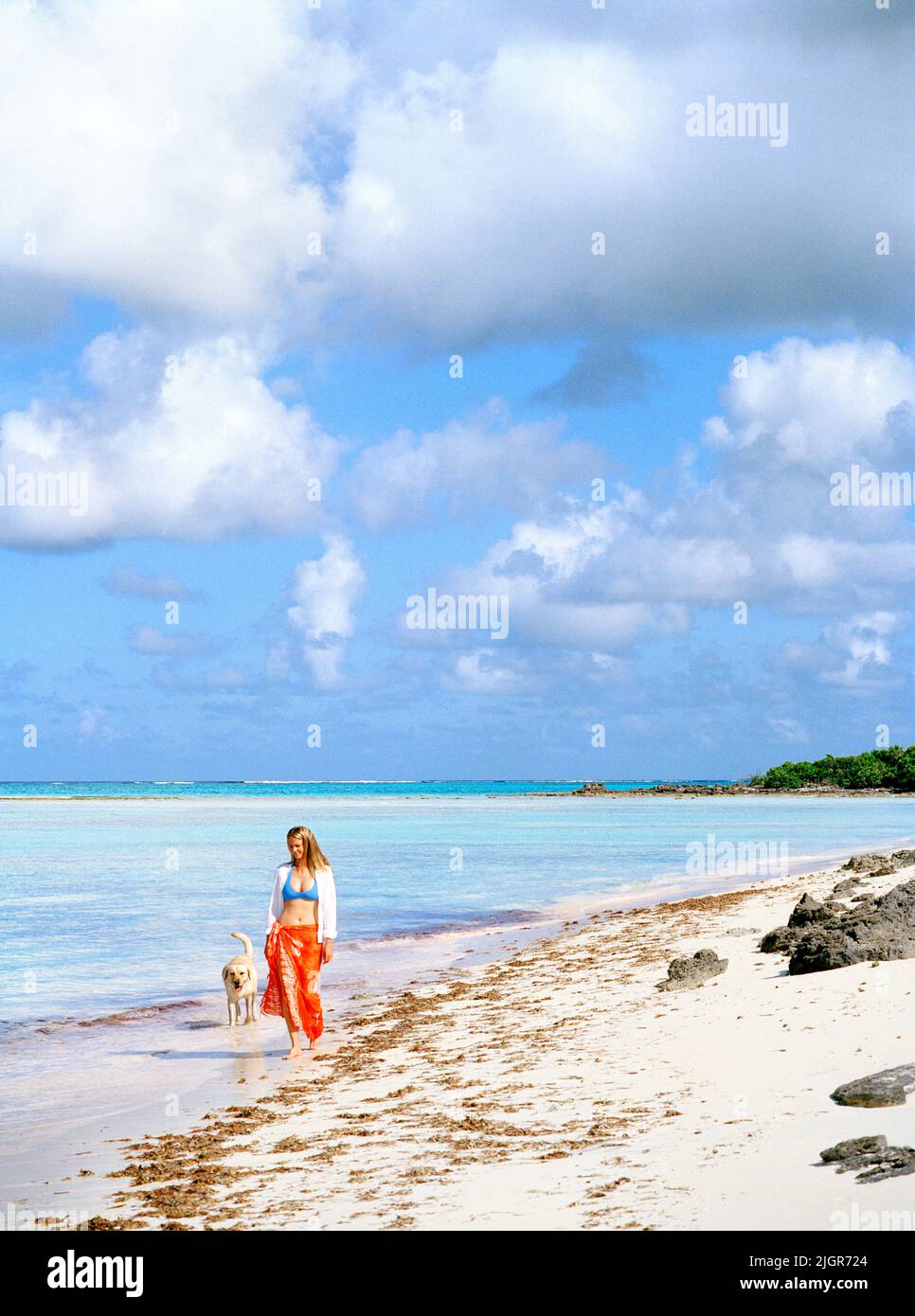Woman walking on beach with dog, Turks and Caicos Stock Photo