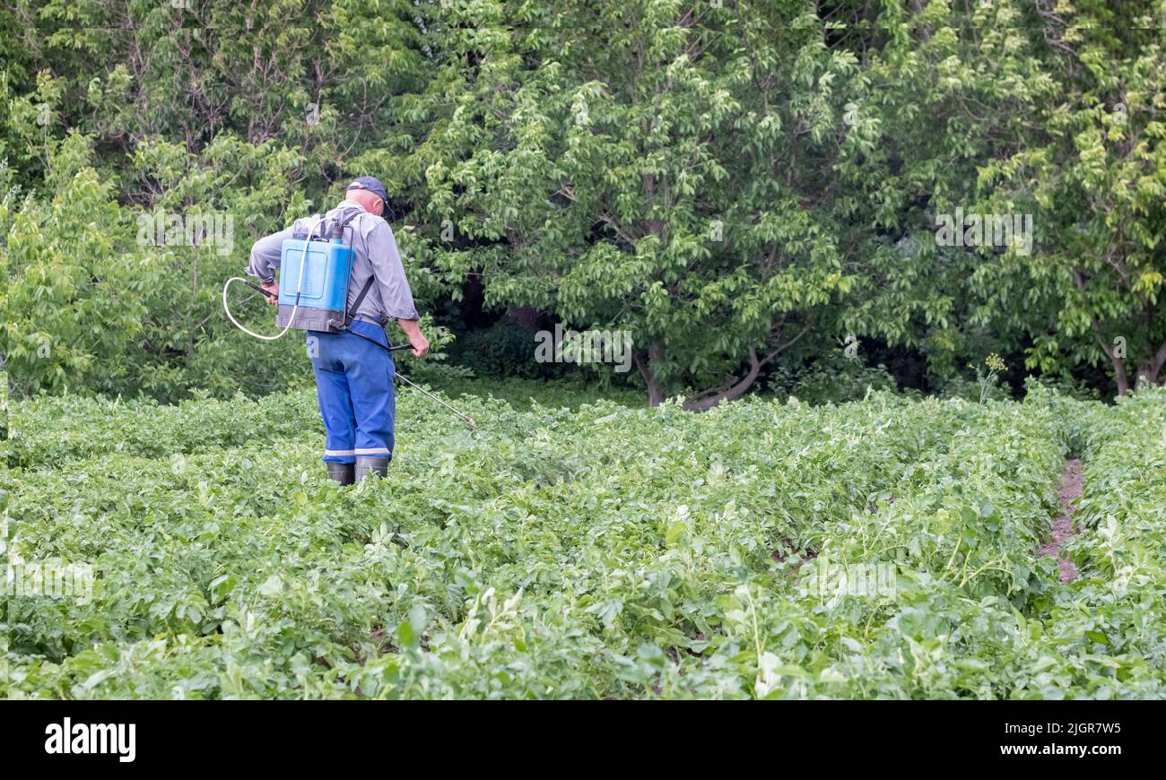 A farmer applying insecticides to his potato crop. Legs of a man in