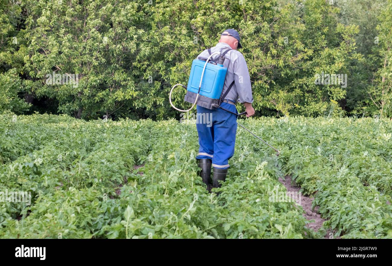 A farmer applying insecticides to his potato crop. Legs of a man in