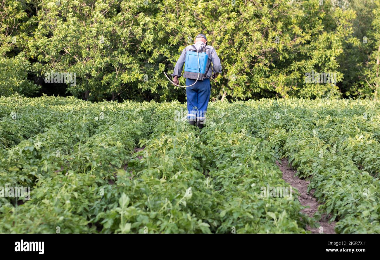 A farmer applying insecticides to his potato crop. Legs of a man in  personal protective equipment for the application of pesticides. A man  sprays pota Stock Photo - Alamy