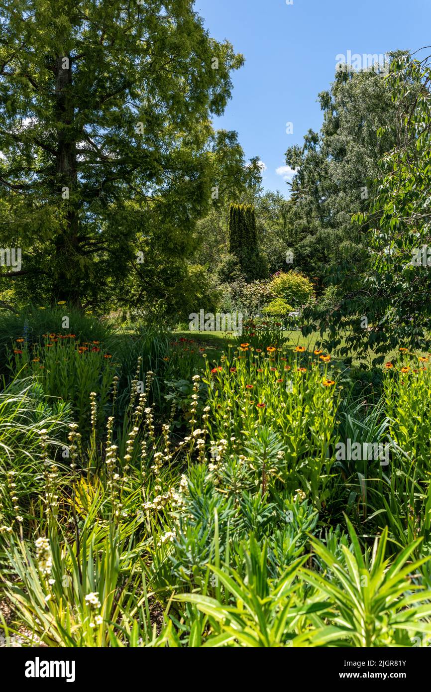 Denmans Garden, Fontwell, Arundel, West Sussex Stock Photo