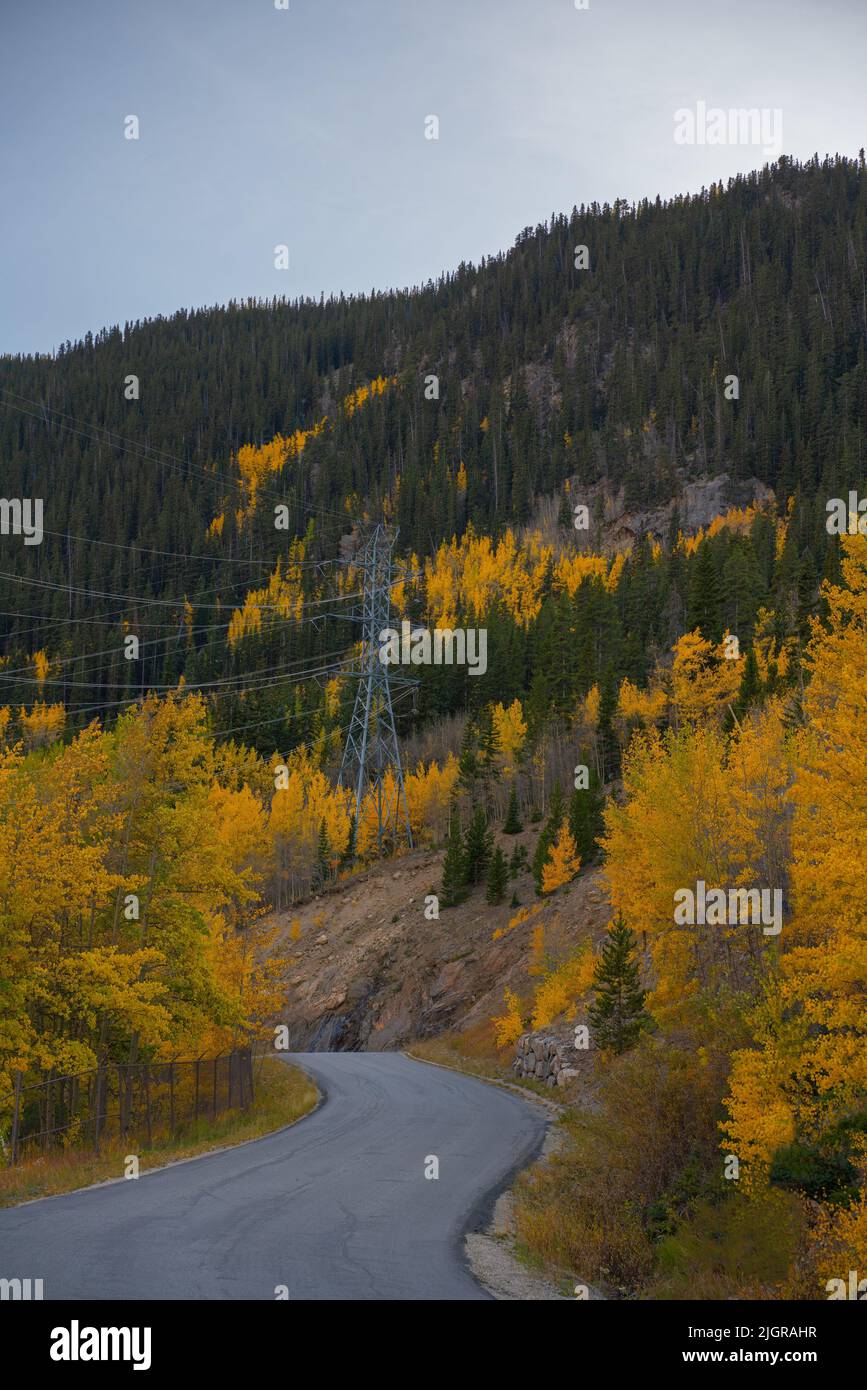 Vertical shot road covered hi-res stock photography and images - Alamy