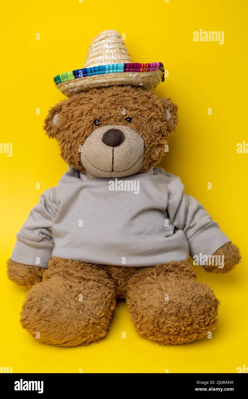 Cute little teddy bear with a sombrero hat. Adorable brown teddy bear