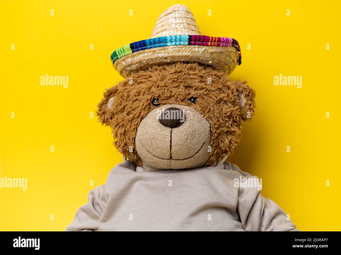 Adorable Teddy Bear with a straw hat. Cute Plush with a Pullover and a hat. Stock Photo