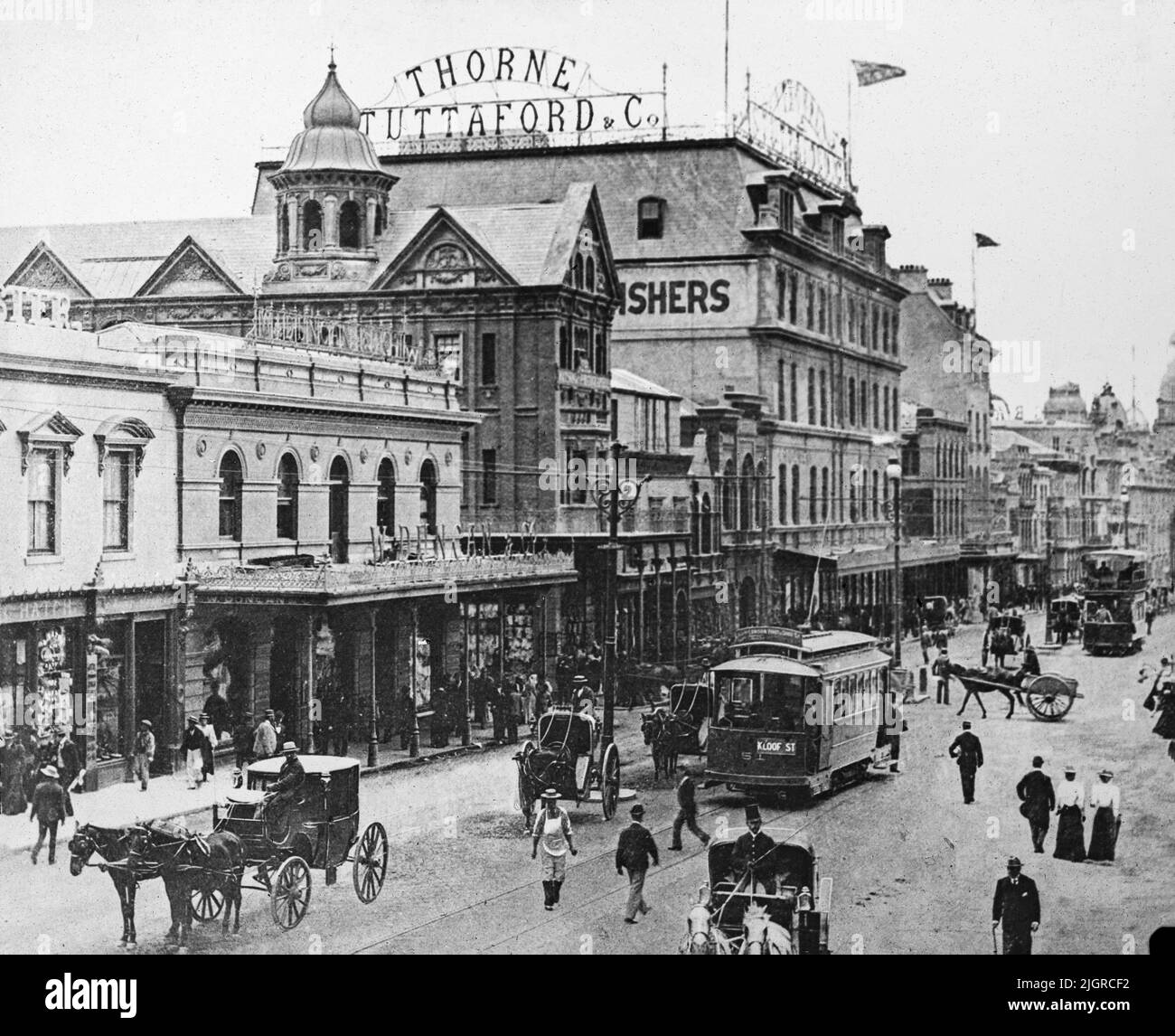 A vintage black and white photograph showing Adderley Street in Cape Town in South Africa, around 1897. The store of Thorne and Stuttaford & Co. in the centre. Stock Photo