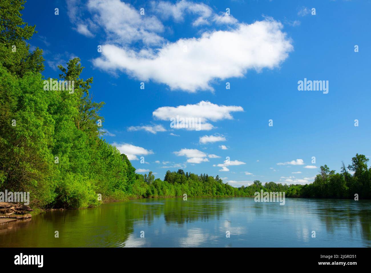 Willamette River, Riverview Park, Independence, Oregon Stock Photo
