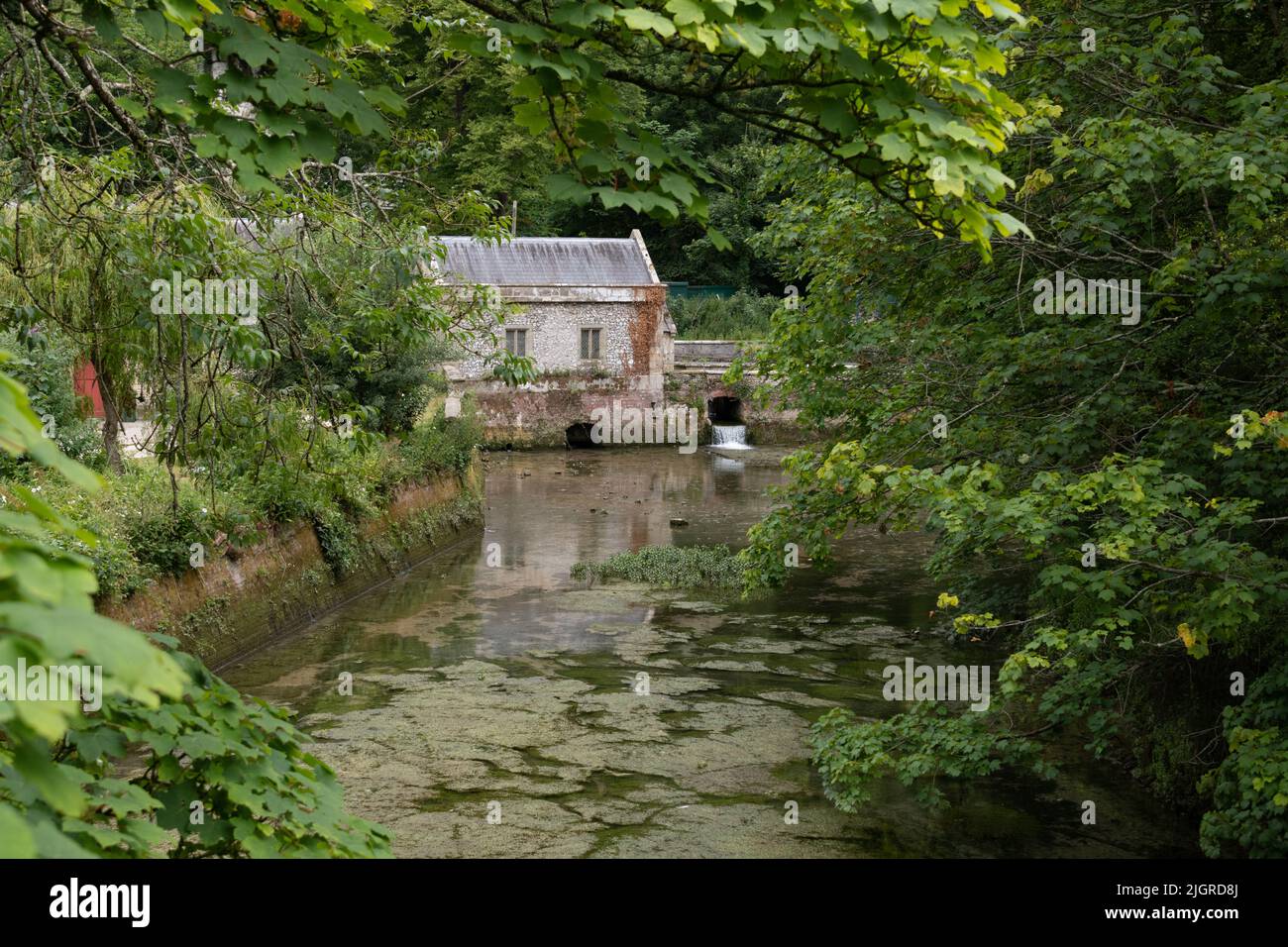 Mill Race at Swanbourne Lake, Arundel Stock Photo