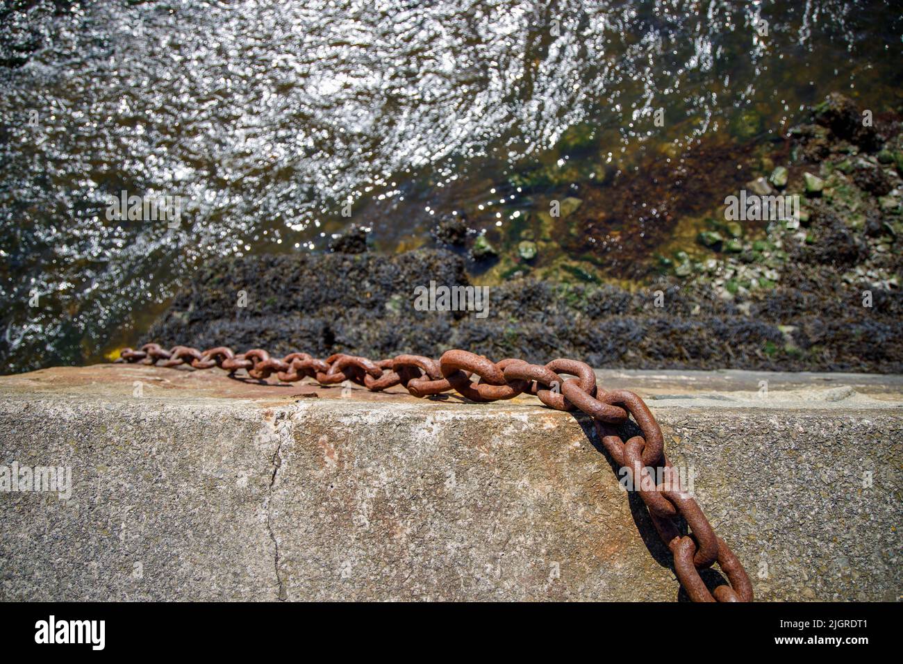 A closeup of Aberaeron harbor wall with a mooring chain hanging down towards the water and seaweed Stock Photo