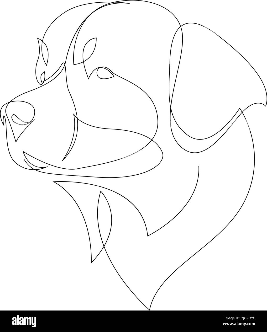 Continuous line Bernese Mountain Dog. Single line minimal style dog vector illustration. Portrait. Stock Vector