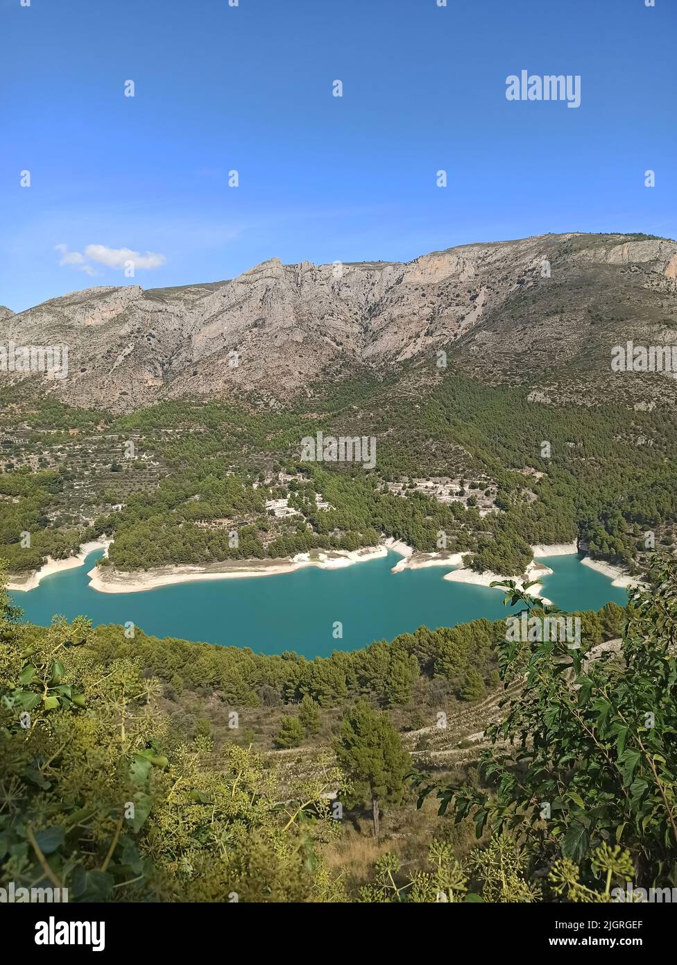 A vertical shot of a calm lake in the mountains covered with greenery ...