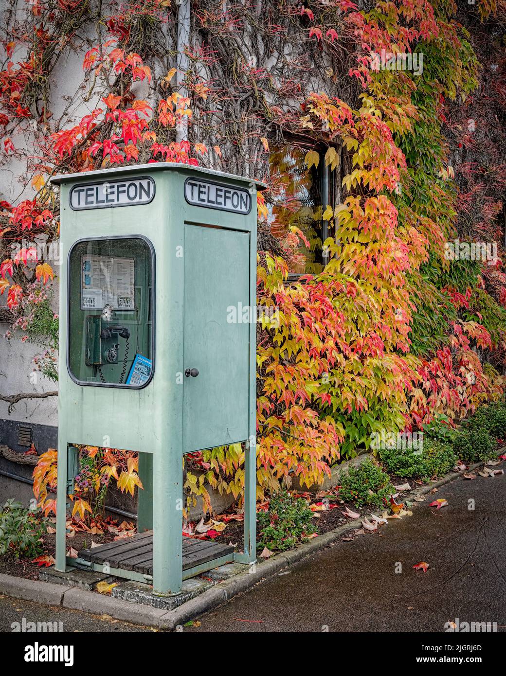 A vintage telephone booth on a corner of a street during autumn Stock