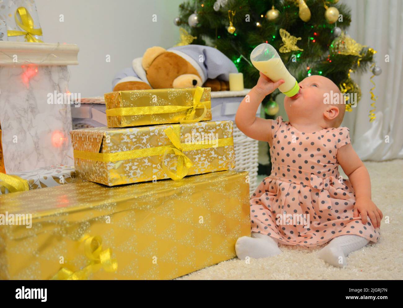 a small child A girl sits under a Christmas tree and drinks from a bottle with her head tilted up, there are golden boxes with gifts next to her and a basket with a bear's head is visible Stock Photo