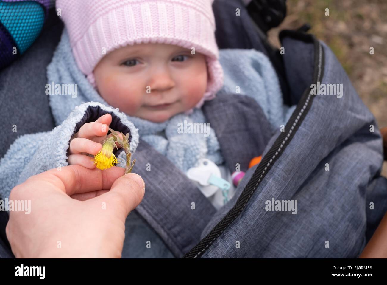 Mother giving a yellow flower to her child. Baby touching a flower for first time in life Stock Photo