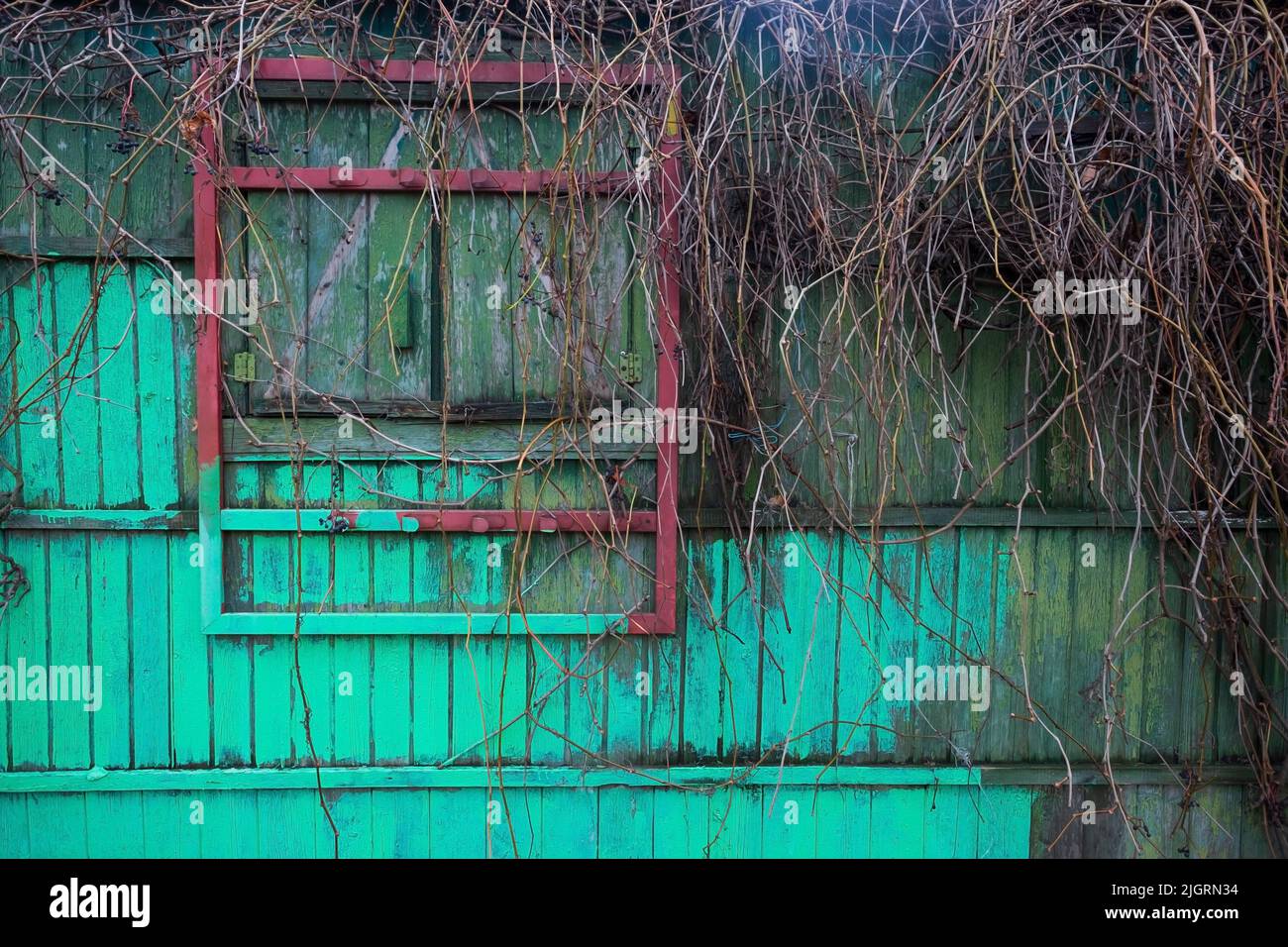 Part of an old green wooden wall with closed window Stock Photo