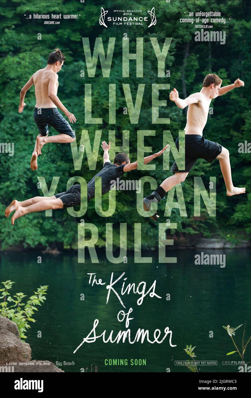 MOISES ARIAS, GABRIEL BASSO, NICK ROBINSON POSTER, THE KINGS OF SUMMER