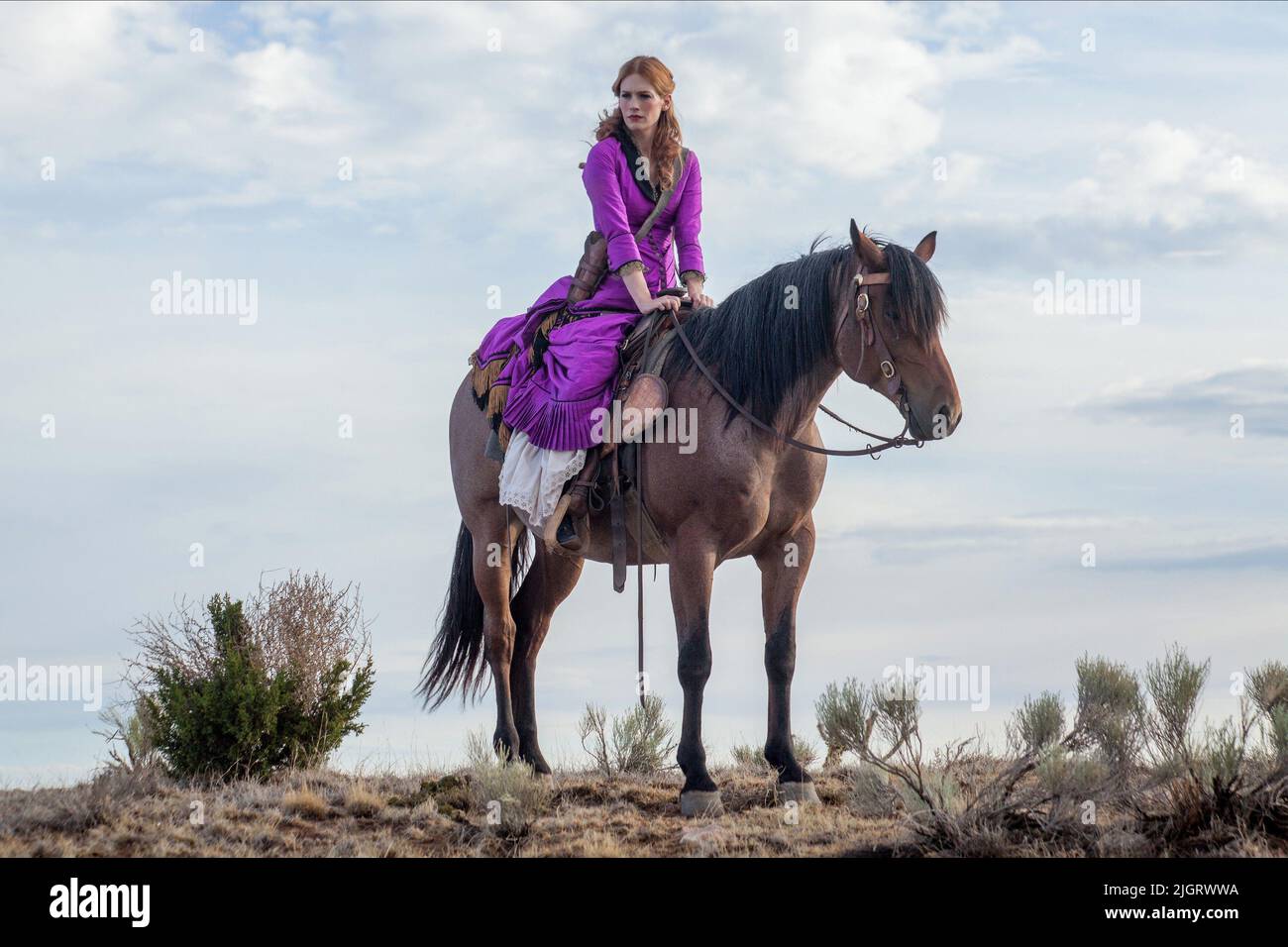 Logan miller hi-res stock photography and images - Page 3 - Alamy