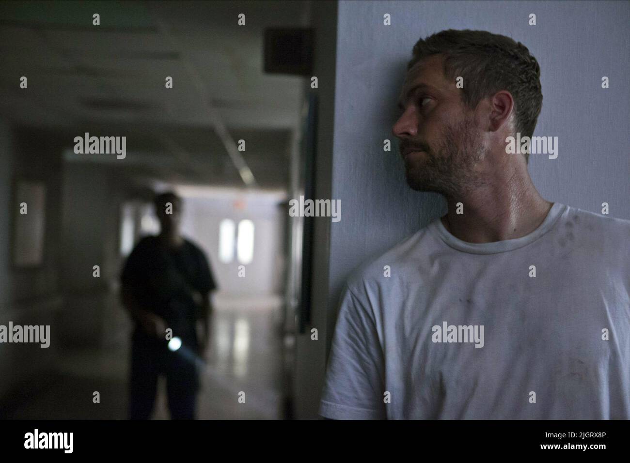 PAUL WALKER, HOURS, 2013 Stock Photo Alamy