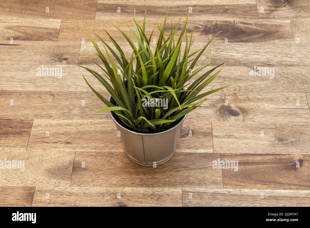 Artificial decorative plant with metal pot Stock Photo Alamy