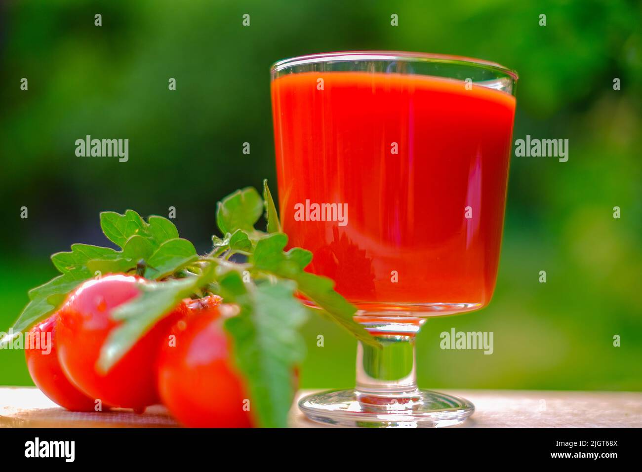 Tomato juice in a glass goblet and ripe red tomatoes on a green garden