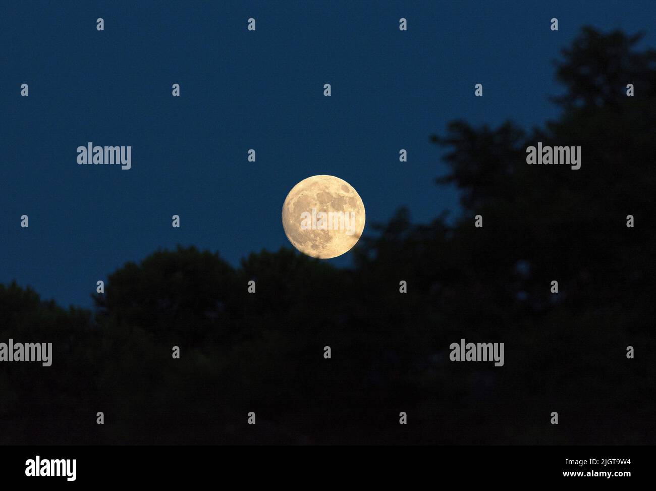 Deer supermoon hi-res stock photography and images - Alamy