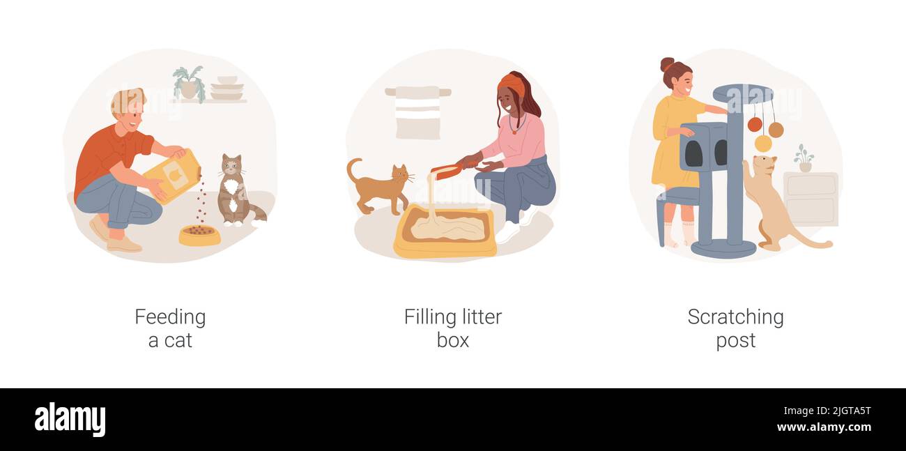 Cat owner routine isolated cartoon vector illustration set. Feeding a