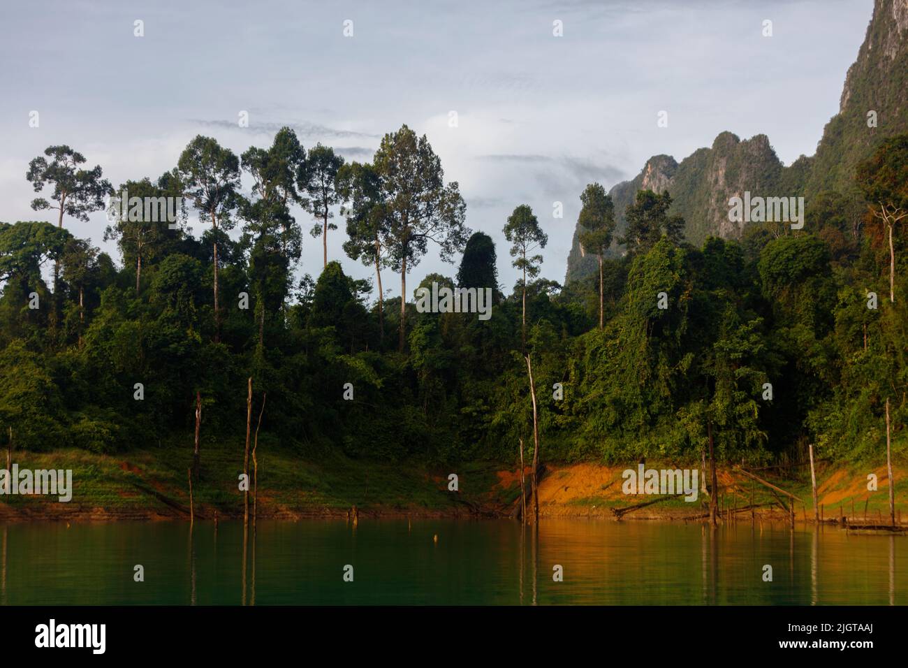 Cheow lan lake in Khao Sok National Park is surrounded by tropical rain forest and karst formations - KHAO SOK, THAILAND Stock Photo