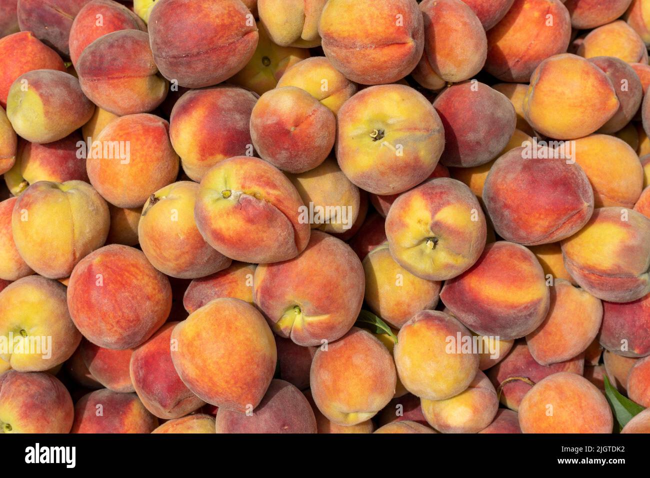 fresh organic peaches harvested and display for sale Stock Photo Alamy