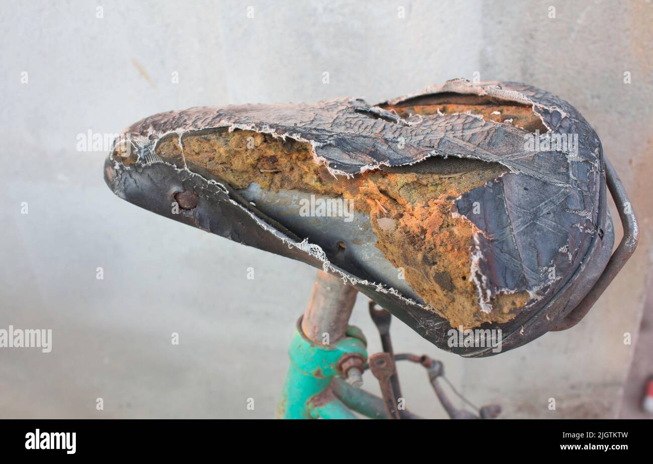 bike seat for broken tailbone