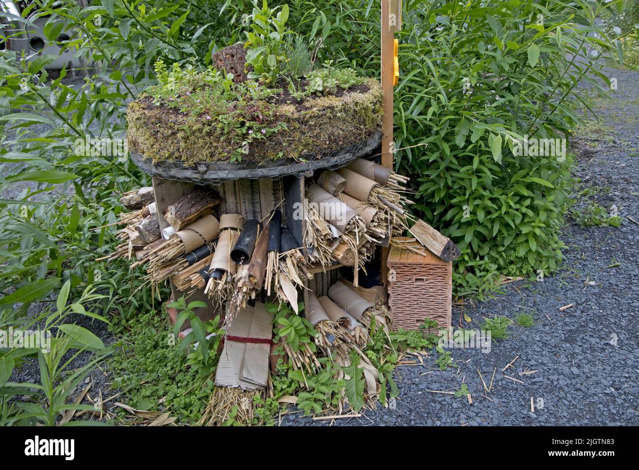 Large DIY insect hotel or bug house made from a range of natural materials Stock Photo