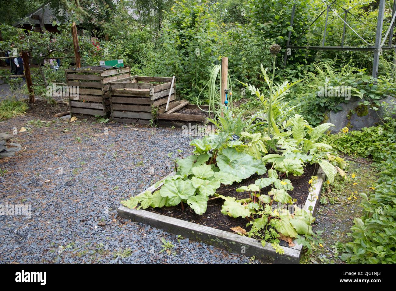 Organic raised beds growing mixed vegetables at the Centre for Alternative Technology (CAT)  Powys Wales, UK Stock Photo