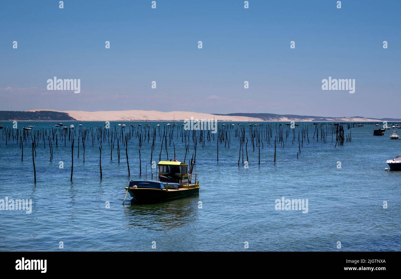 Oyster farming/fishing on Cap Ferret with the dunes du pilat in the background Stock Photo