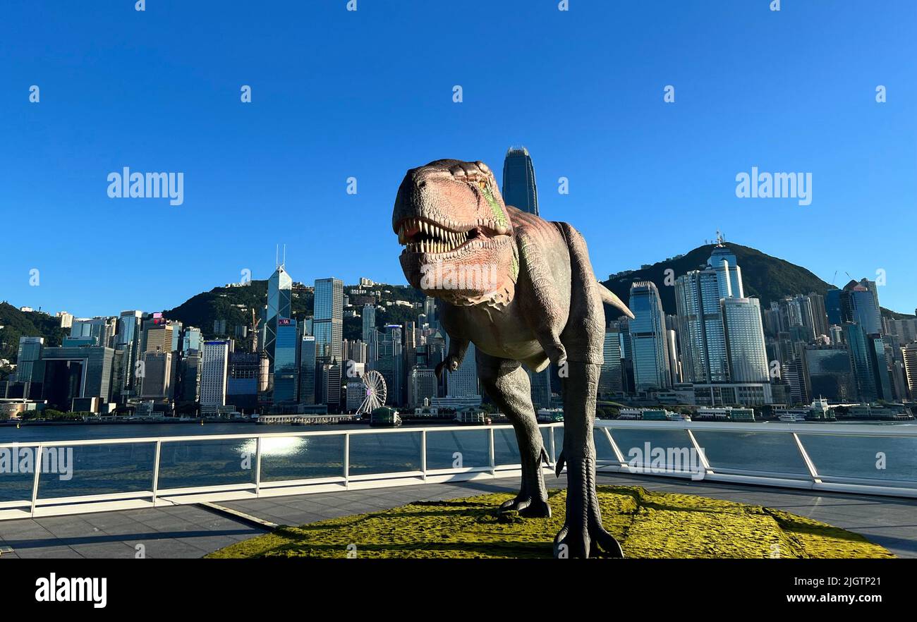 Dragon display at outdoor in hong kong. one of the biggest dragon exhibition ever held in hong kong. Stock Photo