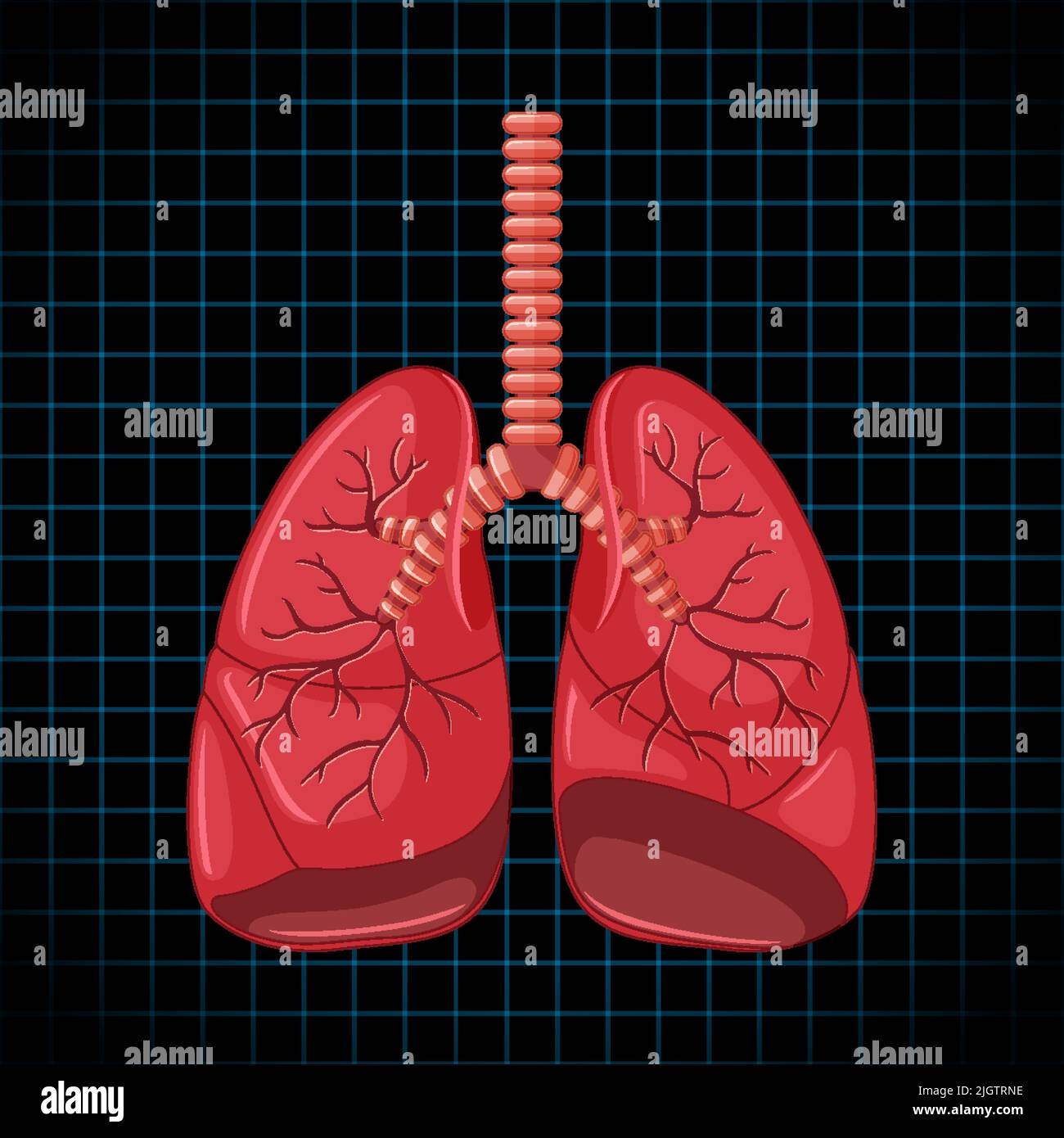 Artistic Lungs Stock Vector Images Alamy Artistic lungs stock vector images alamy
